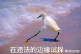 海上生明月love头像