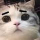 圈内有名小气头像
