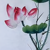 白家姐姐头像