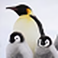 旁观迷途人头像