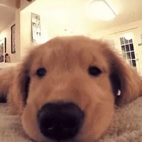 Jeky8162859473头像