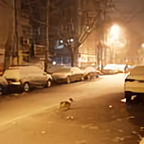 旅游之家777头像