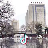 陈镇龙头像