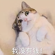 懒懒懒唠唠头像