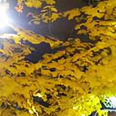 广西小阿表头像