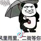 像蜗牛一样活着、头像