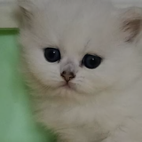 用户932284817010头像