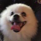 Cc今天胖了没的个人资料头像