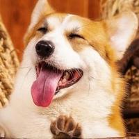 一个孤独人mm头像