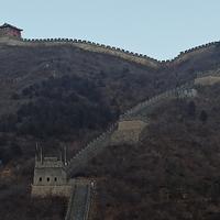 乐天派的文胆头像