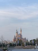 逆熵的个人资料头像