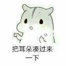 在南或北的个人资料头像