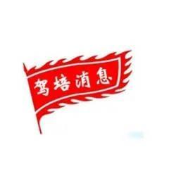 山东万正驾培头像