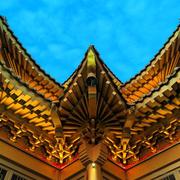 初学者_小学生的个人资料头像