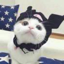 临西的个人资料头像