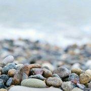 gpfduoduo的个人资料头像