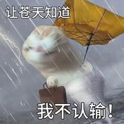 咕噜噜撸撸的个人资料头像