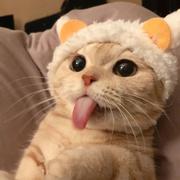 yyuand的个人资料头像