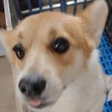 用户6566573405329头像