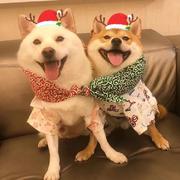 Summer643的个人资料头像