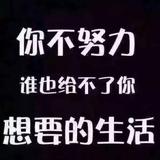 积极的孔雀ndX头像