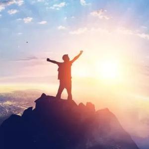 小灰灰故事汇头像