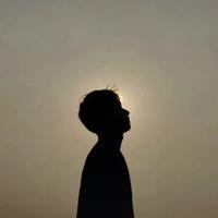 落花有意空折雨头像