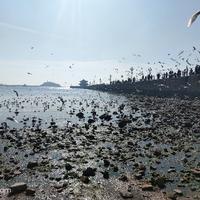 简单明月MNy头像