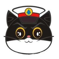 黑猫不白头像