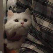 Suuuuu729的个人资料头像