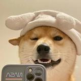 小峰头像