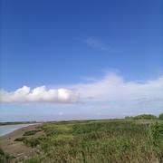 追风阅世的人生的个人资料头像