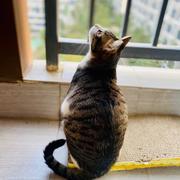 空谷幽笛835的个人资料头像