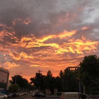 老夫百事可乐头像