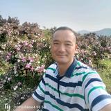 山里的十八哥头像