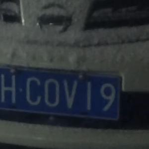 Листья лотоса горного траура