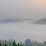 小费给了头像