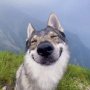 用户3406277590373的个人资料头像