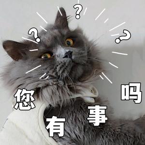 长毛蓝猫小肉球头像