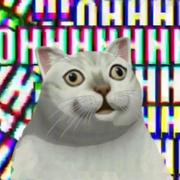 苍岚的个人资料头像