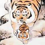 家宝1612头像