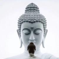高冷星星Uin头像