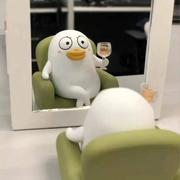 MDiDi的个人资料头像