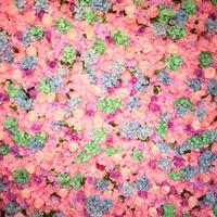 陌陌私人订制头像