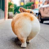 小一816头像