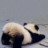 以理服人不服打死头像