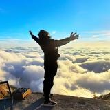 梵高的向日葵微笑头像