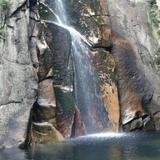 隔壁老王爱种菜头像