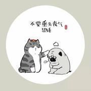 xueqin937的个人资料头像