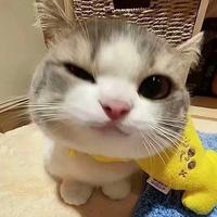 非凡轮船fqc头像